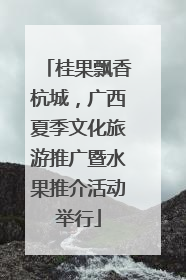 桂果飘香杭城，广西夏季文化旅游推广暨水果推介活动举行