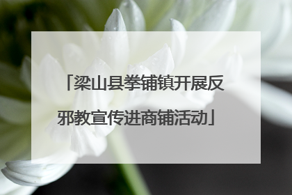 梁山县拳铺镇开展反邪教宣传进商铺活动