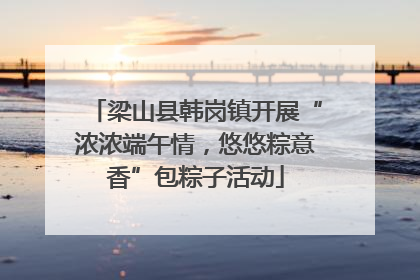 梁山县韩岗镇开展“浓浓端午情，悠悠粽意香”包粽子活动