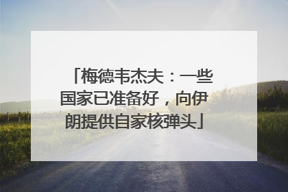 梅德韦杰夫：一些国家已准备好，向伊朗提供自家核弹头