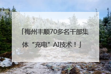 梅州丰顺70多名干部集体“充电”AI技术！