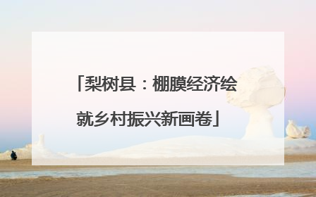 梨树县：棚膜经济绘就乡村振兴新画卷