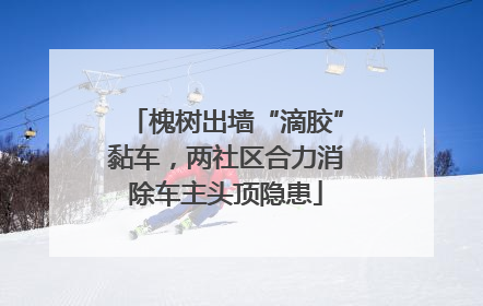 槐树出墙“滴胶”黏车，两社区合力消除车主头顶隐患