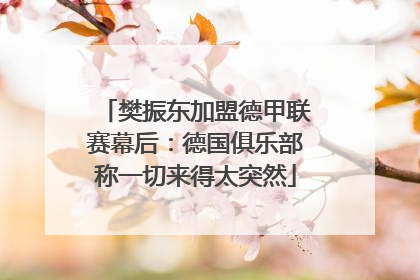樊振东加盟德甲联赛幕后：德国俱乐部称一切来得太突然