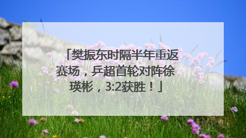 樊振东时隔半年重返赛场，乒超首轮对阵徐瑛彬，3:2获胜！