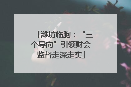 潍坊临朐：“三个导向”引领财会监督走深走实