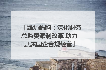 潍坊临朐：深化财务总监委派制改革 助力县属国企合规经营