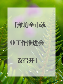 潍坊全市就业工作推进会议召开