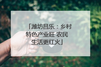 潍坊昌乐：乡村特色产业旺 农民生活更红火