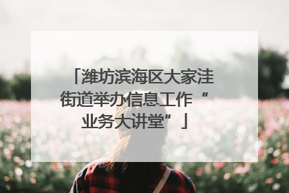 潍坊滨海区大家洼街道举办信息工作“业务大讲堂”