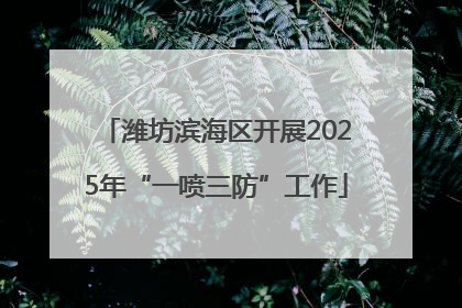潍坊滨海区开展2025年“一喷三防”工作
