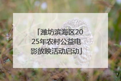 潍坊滨海区2025年农村公益电影放映活动启动
