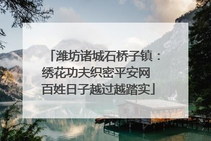 潍坊诸城石桥子镇：绣花功夫织密平安网 百姓日子越过越踏实