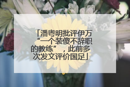 潘粤明批评伊万“一个装傻不辞职的教练”，此前多次发文评价国足