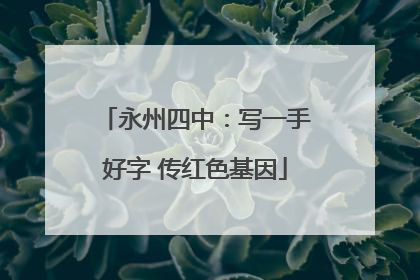 永州四中：写一手好字 传红色基因