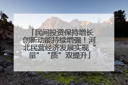 民间投资保持增长 创新动能持续增强！河北民营经济发展实现“量”“质”双提升