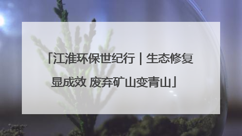 江淮环保世纪行｜生态修复显成效 废弃矿山变青山