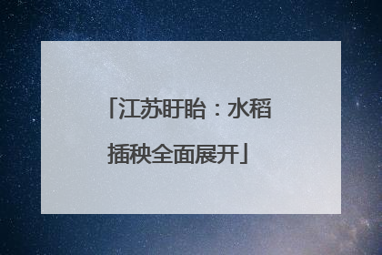 江苏盱眙：水稻插秧全面展开