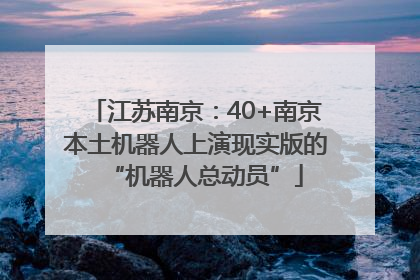 江苏南京：40+南京本土机器人上演现实版的“机器人总动员”
