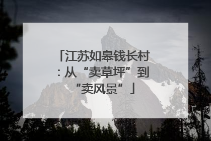 江苏如皋钱长村：从“卖草坪”到“卖风景”