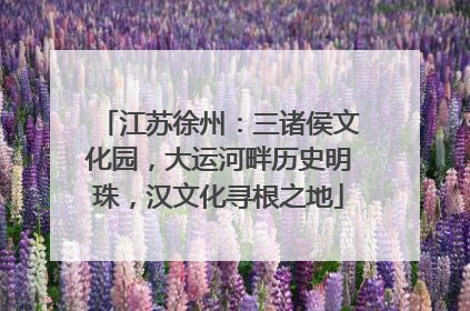 江苏徐州：三诸侯文化园，大运河畔历史明珠，汉文化寻根之地