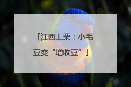 江西上栗：小毛豆变“增收豆”