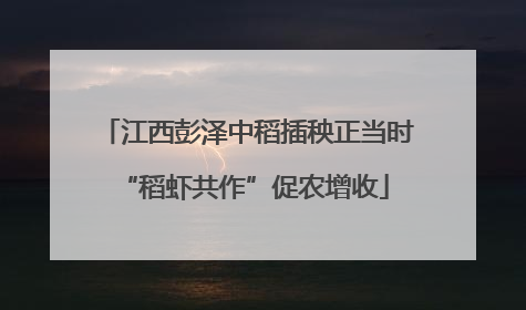 江西彭泽中稻插秧正当时 “稻虾共作”促农增收