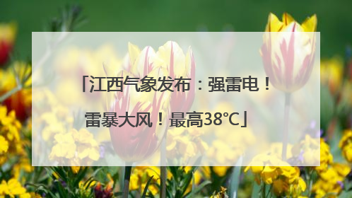 江西气象发布：强雷电！雷暴大风！最高38℃