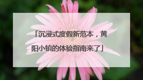 沉浸式度假新范本，黄阳小镇的体验指南来了