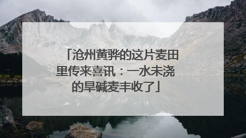 沧州黄骅的这片麦田里传来喜讯：一水未浇的旱碱麦丰收了
