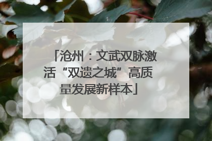 沧州：文武双脉激活“双遗之城”高质量发展新样本