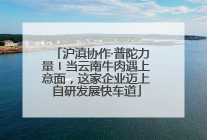 沪滇协作·普陀力量〡当云南牛肉遇上意面，这家企业迈上自研发展快车道