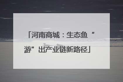 河南商城：生态鱼“游”出产业链新路径