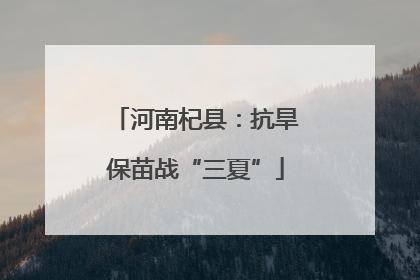 河南杞县：抗旱保苗战“三夏”