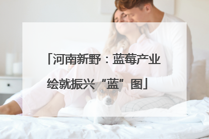 河南新野：蓝莓产业绘就振兴“蓝”图