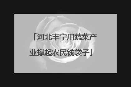 河北丰宁用蔬菜产业撑起农民钱袋子