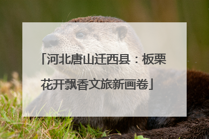 河北唐山迁西县：板栗花开飘香文旅新画卷