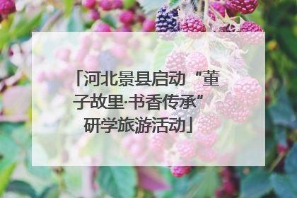 河北景县启动“董子故里·书香传承”研学旅游活动