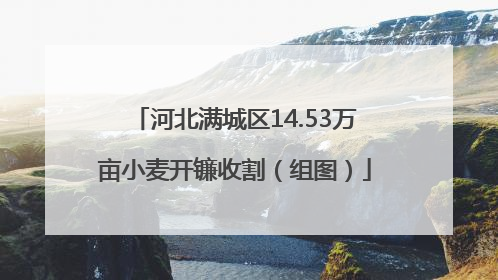 河北满城区14.53万亩小麦开镰收割（组图）