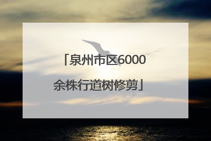 泉州市区6000余株行道树修剪