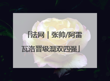 法网｜张帅/阿雷瓦洛晋级混双四强