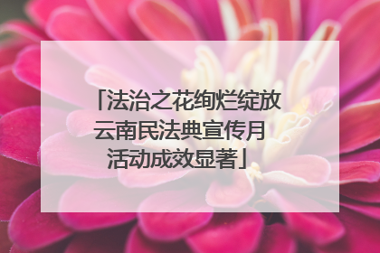 法治之花绚烂绽放 云南民法典宣传月活动成效显著