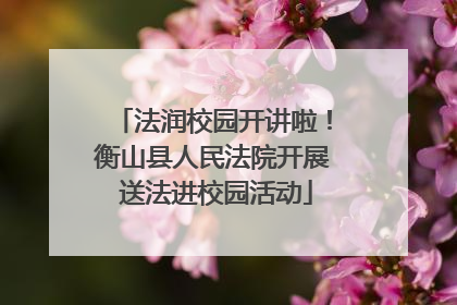 法润校园开讲啦！衡山县人民法院开展 送法进校园活动