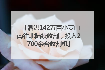 泗洪142万亩小麦由南往北陆续收割，投入2700余台收割机