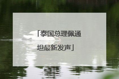 泰国总理佩通坦最新发声