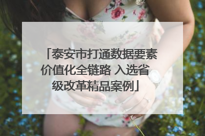 泰安市打通数据要素价值化全链路 入选省级改革精品案例