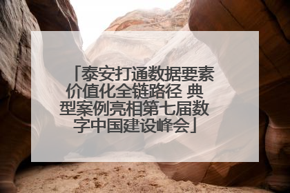泰安打通数据要素价值化全链路径 典型案例亮相第七届数字中国建设峰会