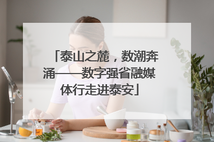 泰山之麓，数潮奔涌——数字强省融媒体行走进泰安