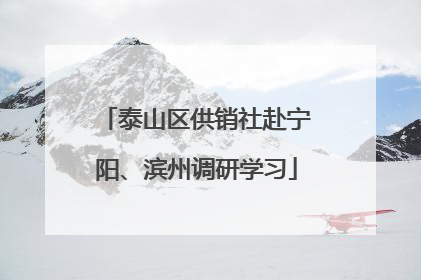 泰山区供销社赴宁阳、滨州调研学习