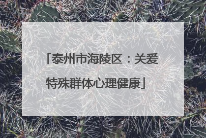 泰州市海陵区：关爱特殊群体心理健康